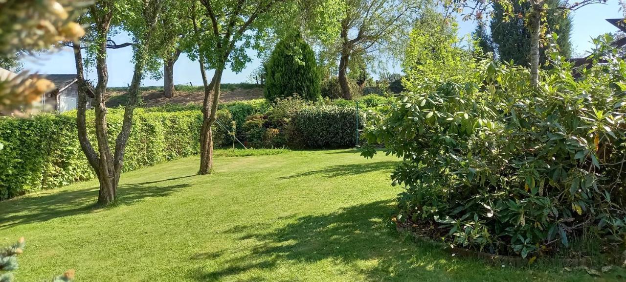 Gite Les Sittelles Tenneville Exterior foto