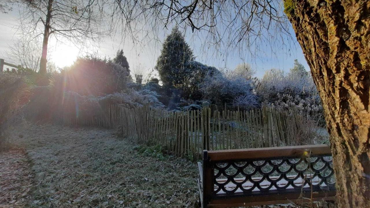 Gite Les Sittelles Tenneville Exterior foto